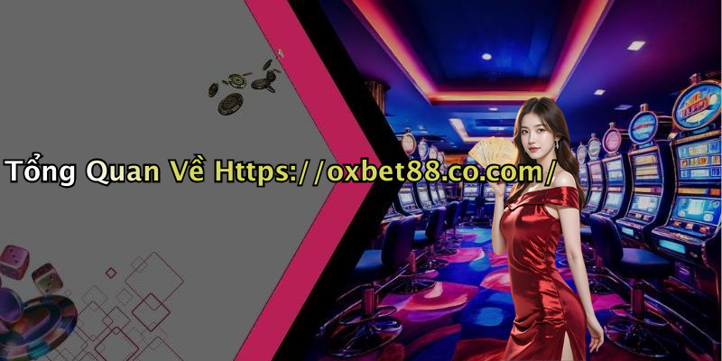 Tổng Quan Về Https://oxbet88.co.com/