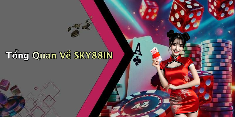 Tổng Quan Về SKY88IN