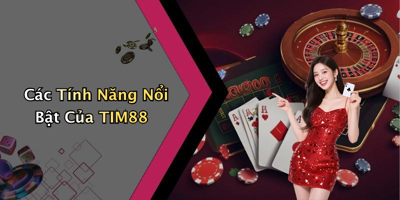 Các Tính Năng Nổi Bật Của TIM88