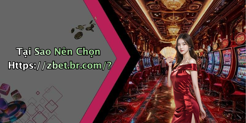 Tại Sao Nên Chọn Https://zbet.br.com/?